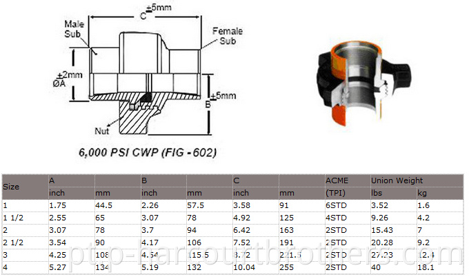 Aço inoxidável Figura 600 Fig 1002 Hammer Union